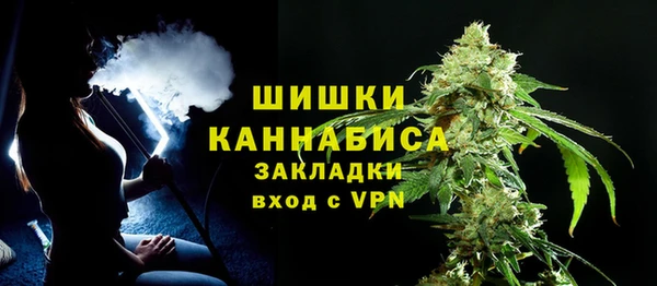 ГАЛЛЮЦИНОГЕННЫЕ ГРИБЫ Верхний Тагил
