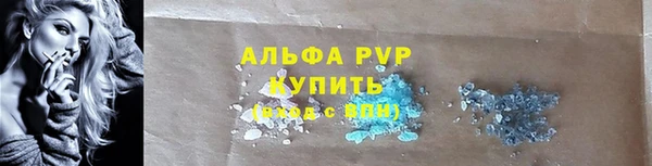 крисы Верея