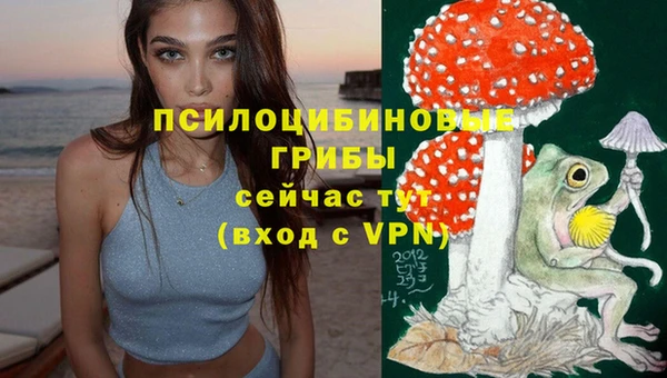 МДПВ Верхнеуральск