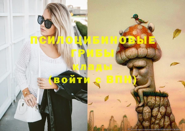 ГАЛЛЮЦИНОГЕННЫЕ ГРИБЫ Верхний Тагил