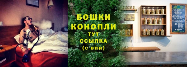 ГАЛЛЮЦИНОГЕННЫЕ ГРИБЫ Верхний Тагил