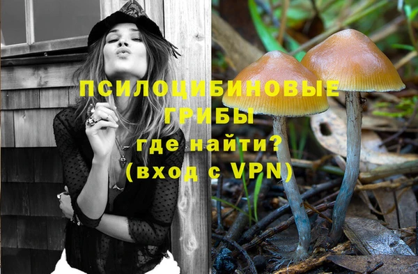 МДПВ Верхнеуральск