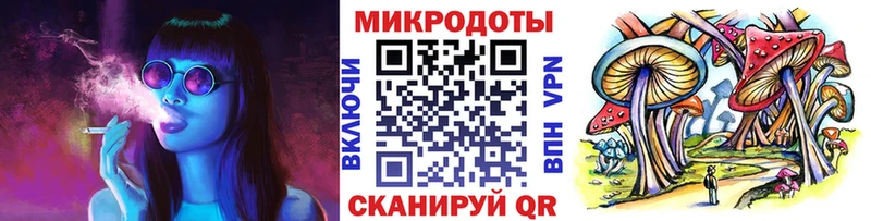 блэк спрут как войти  как найти наркотики  Свирск  Галлюциногенные грибы мицелий 